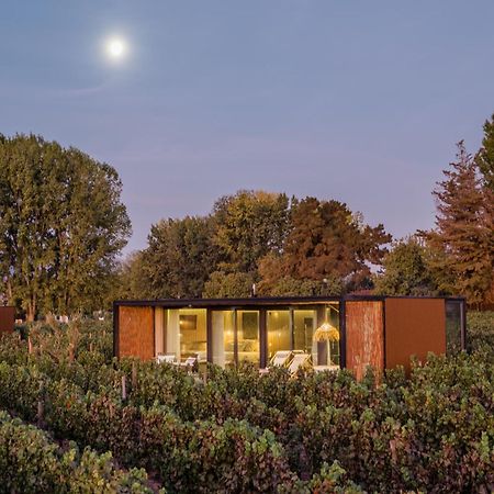 סנטה קרוז Vibo Wine Lodge At Viu Manent מראה חיצוני תמונה