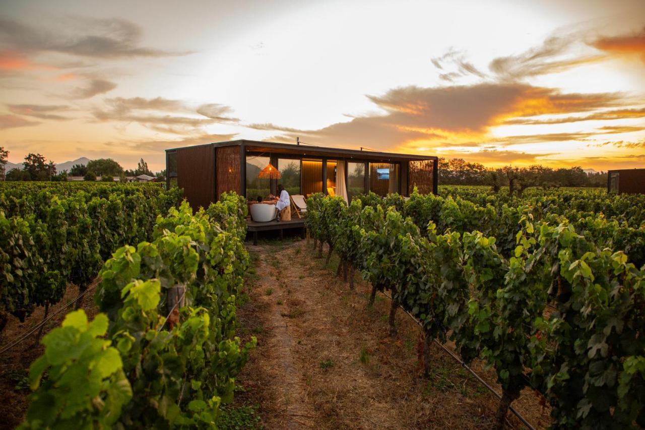 סנטה קרוז Vibo Wine Lodge At Viu Manent מראה חיצוני תמונה