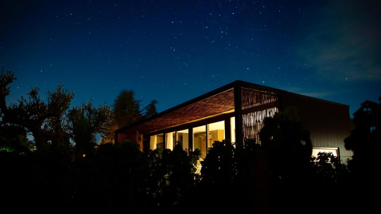 סנטה קרוז Vibo Wine Lodge At Viu Manent מראה חיצוני תמונה