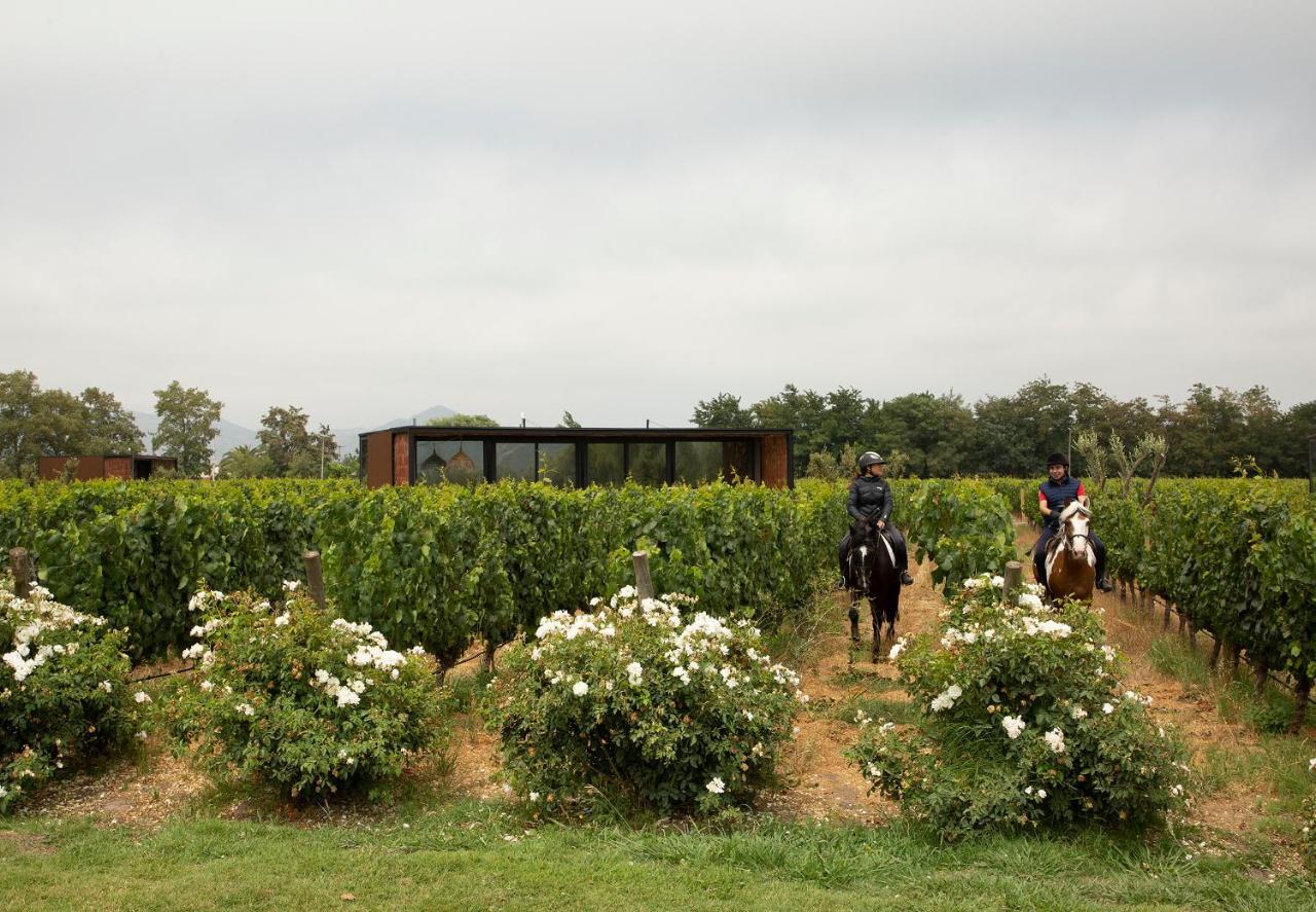 סנטה קרוז Vibo Wine Lodge At Viu Manent מראה חיצוני תמונה