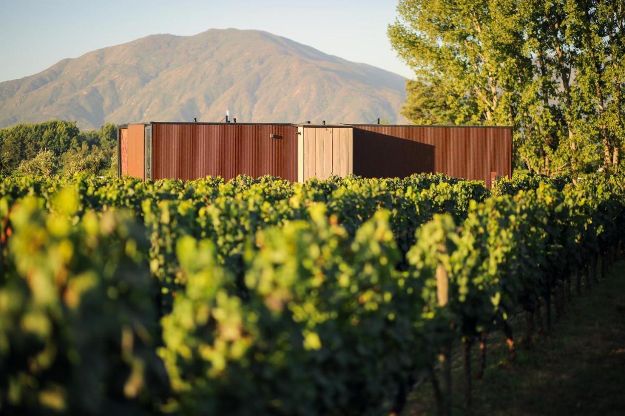 סנטה קרוז Vibo Wine Lodge At Viu Manent מראה חיצוני תמונה