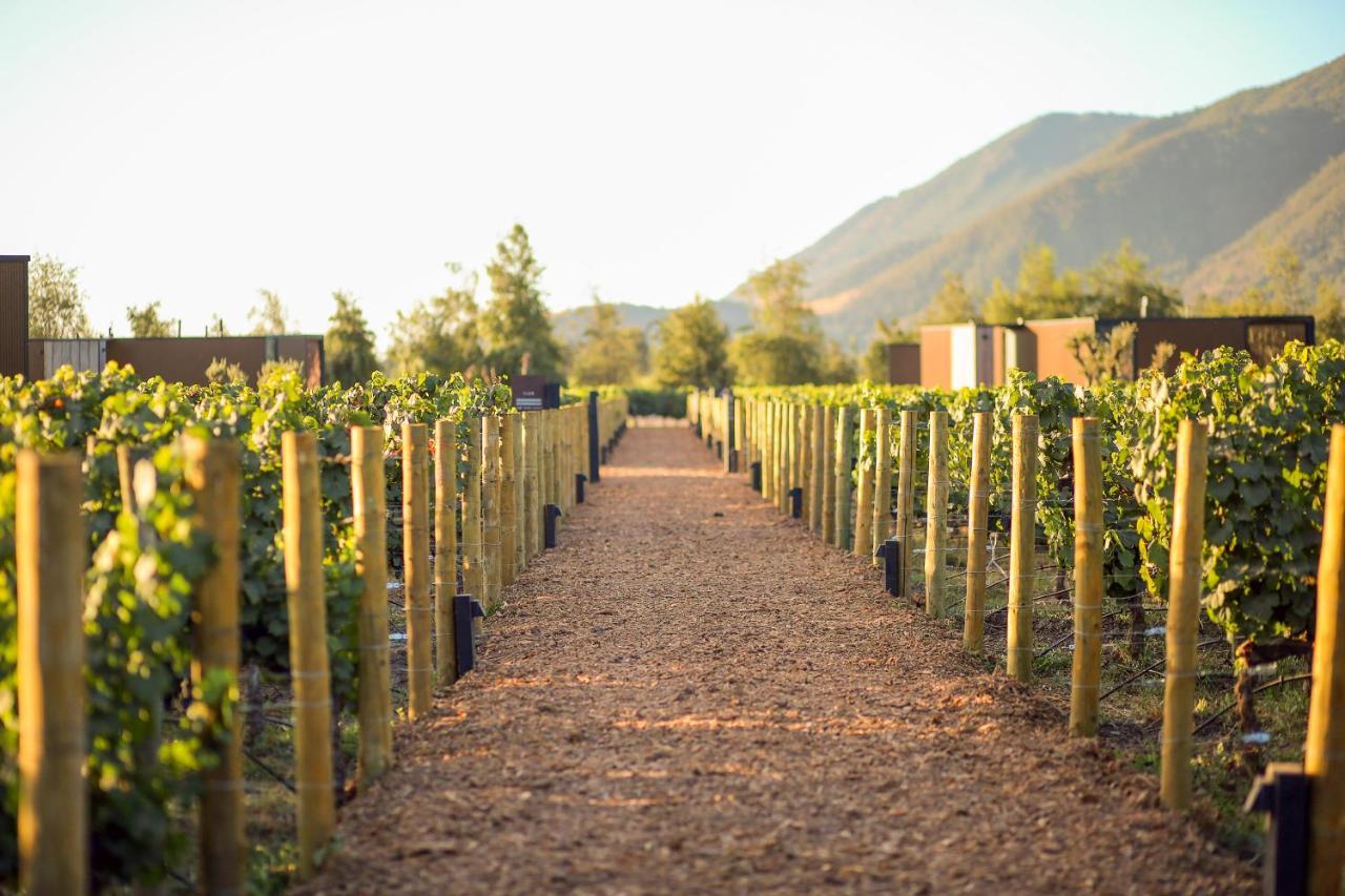 סנטה קרוז Vibo Wine Lodge At Viu Manent מראה חיצוני תמונה