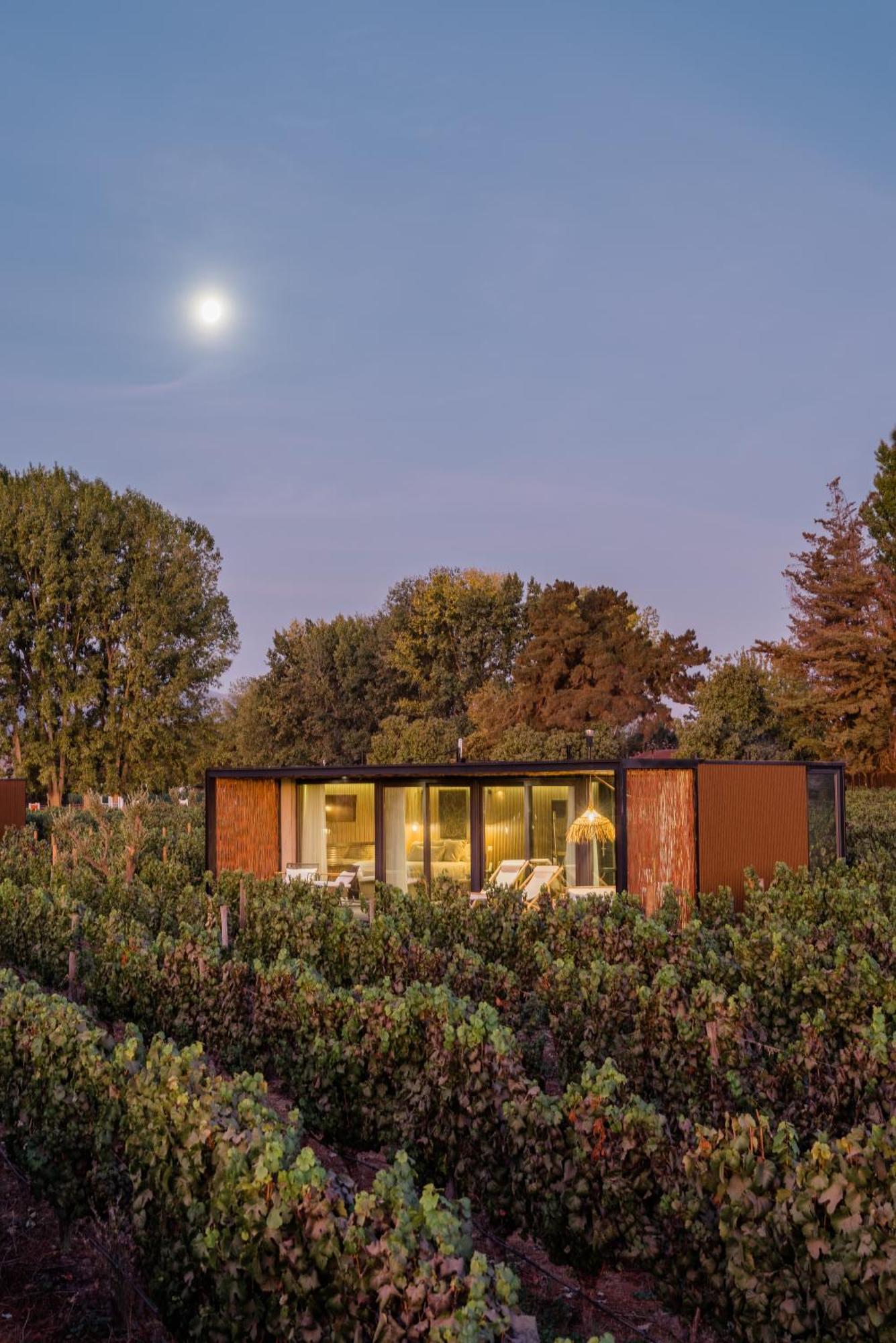 סנטה קרוז Vibo Wine Lodge At Viu Manent מראה חיצוני תמונה